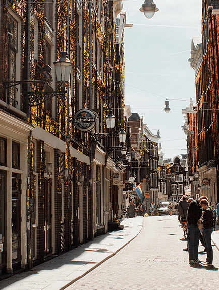 Red Forest- Amsterdam